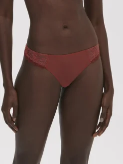 Tanga - Terre de Sienne
