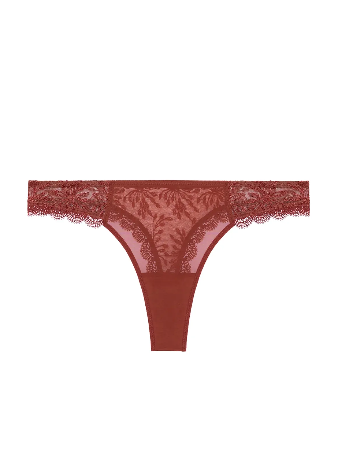 Tanga - Terre de Sienne